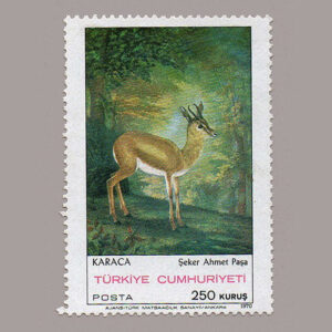 1970-2575