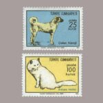 1973-006