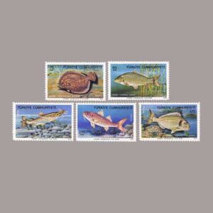 1975-007