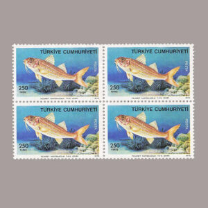 1975-2764-4