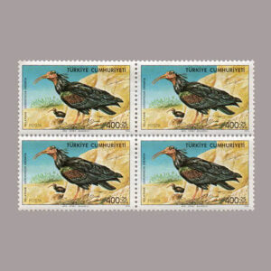 1976-2802