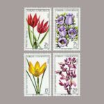 1980-007