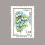 1985-3111