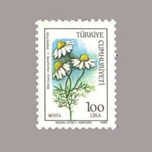 1985-3111
