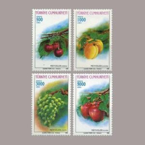 1992-008