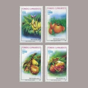1993-003