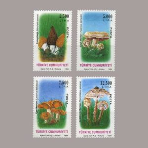 1994-008