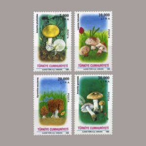 1995-007
