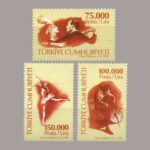 1998-007