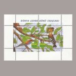 2001-007