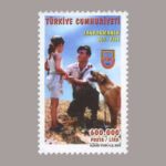 2004-3781