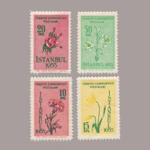 1955-005