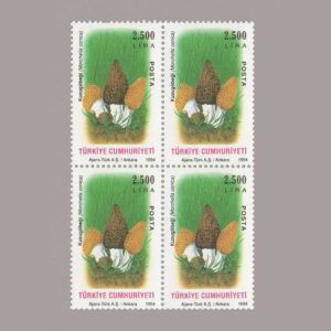 1994-3426-4