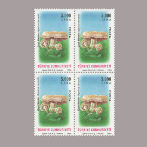 1994-3427-4