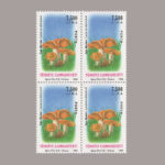 1994-3428-4
