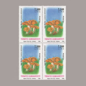1994-3428-4