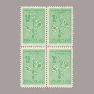 1954-1817-4