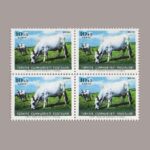 1964-2311-4