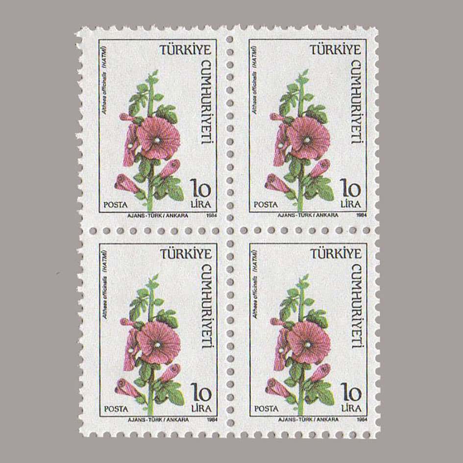 1984-3077-4