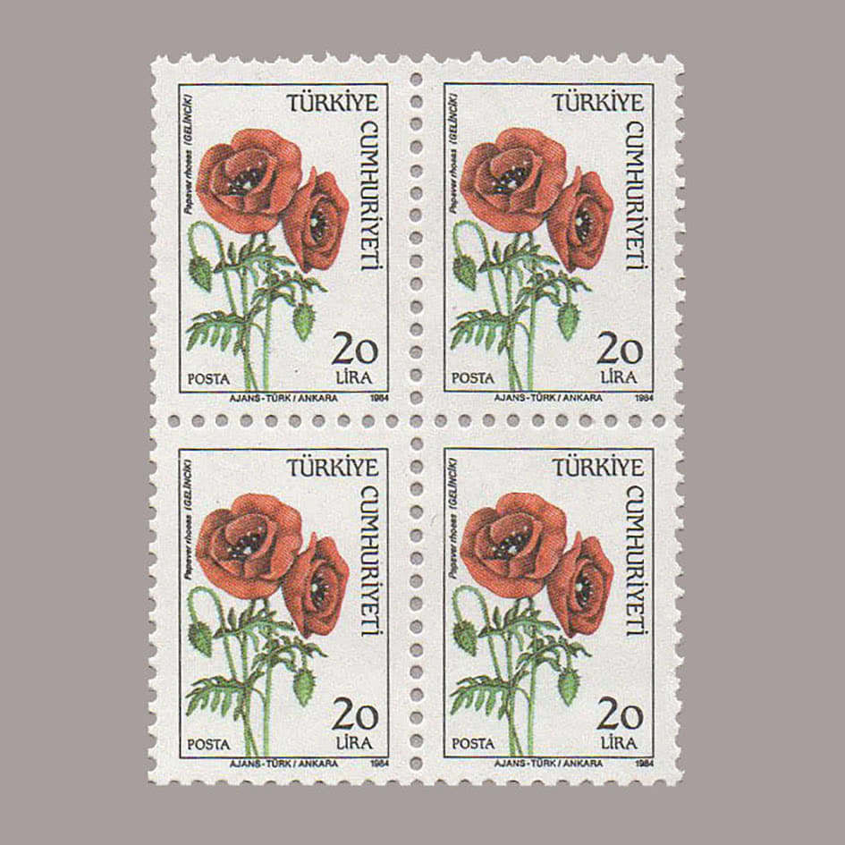 1984-3078-4