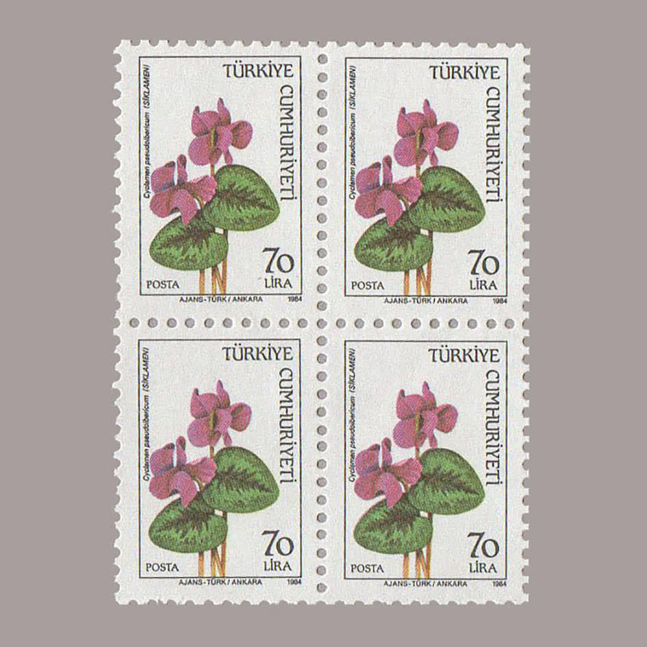 1984-3079-4