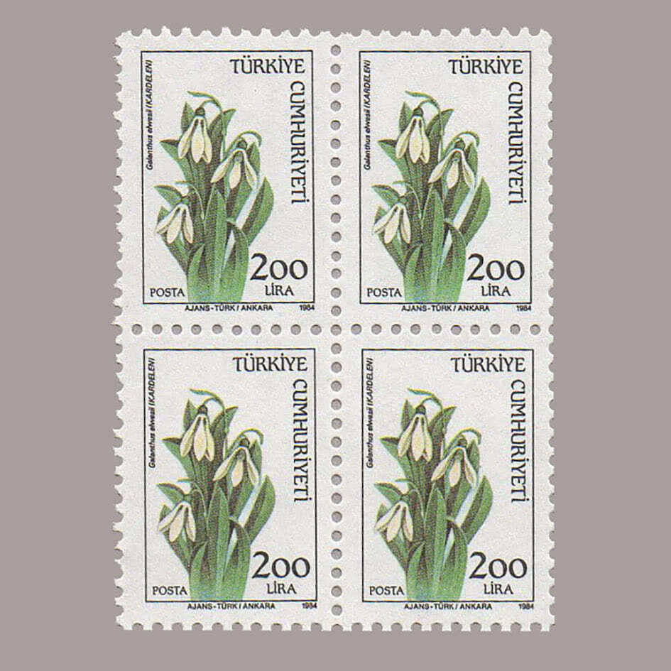 1984-3080-4