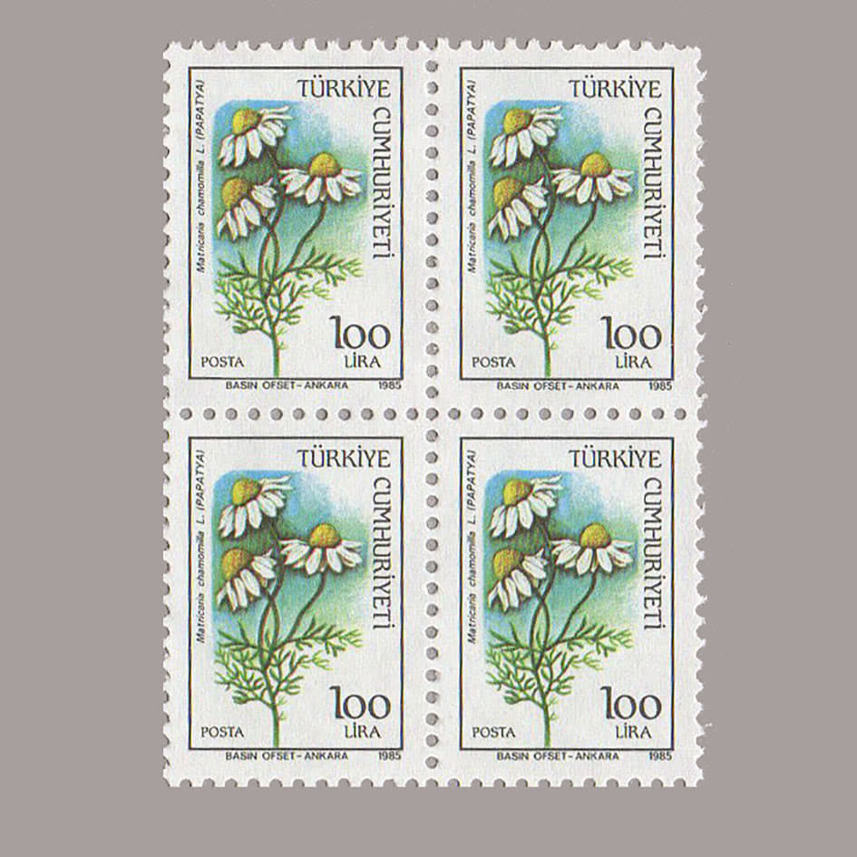 1985-3111-4