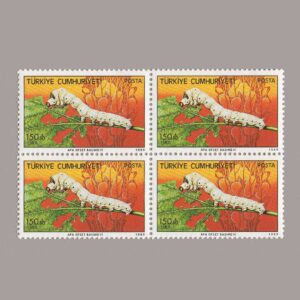 1989-3246-4