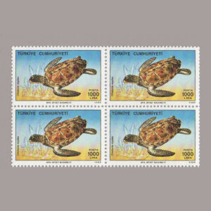 1989-3266-4