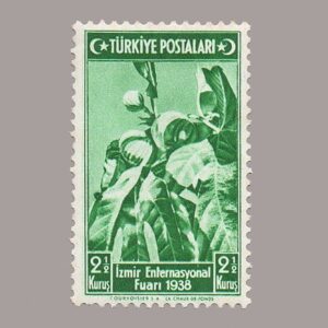 1938-1365